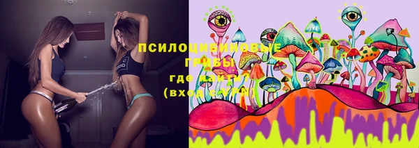 МДМА Заводоуковск