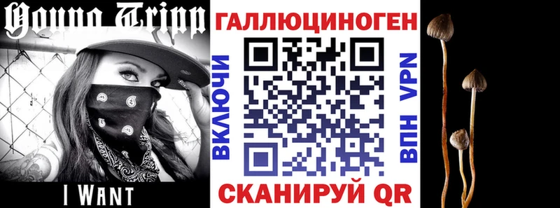 Купить закладки Искитим Псилоцибиновые грибы Psilocybe